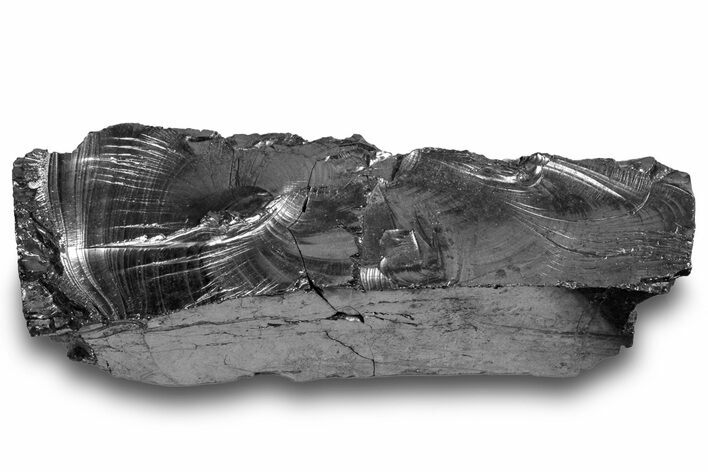 Lustrous, High Grade Shungite - Colombia #246350